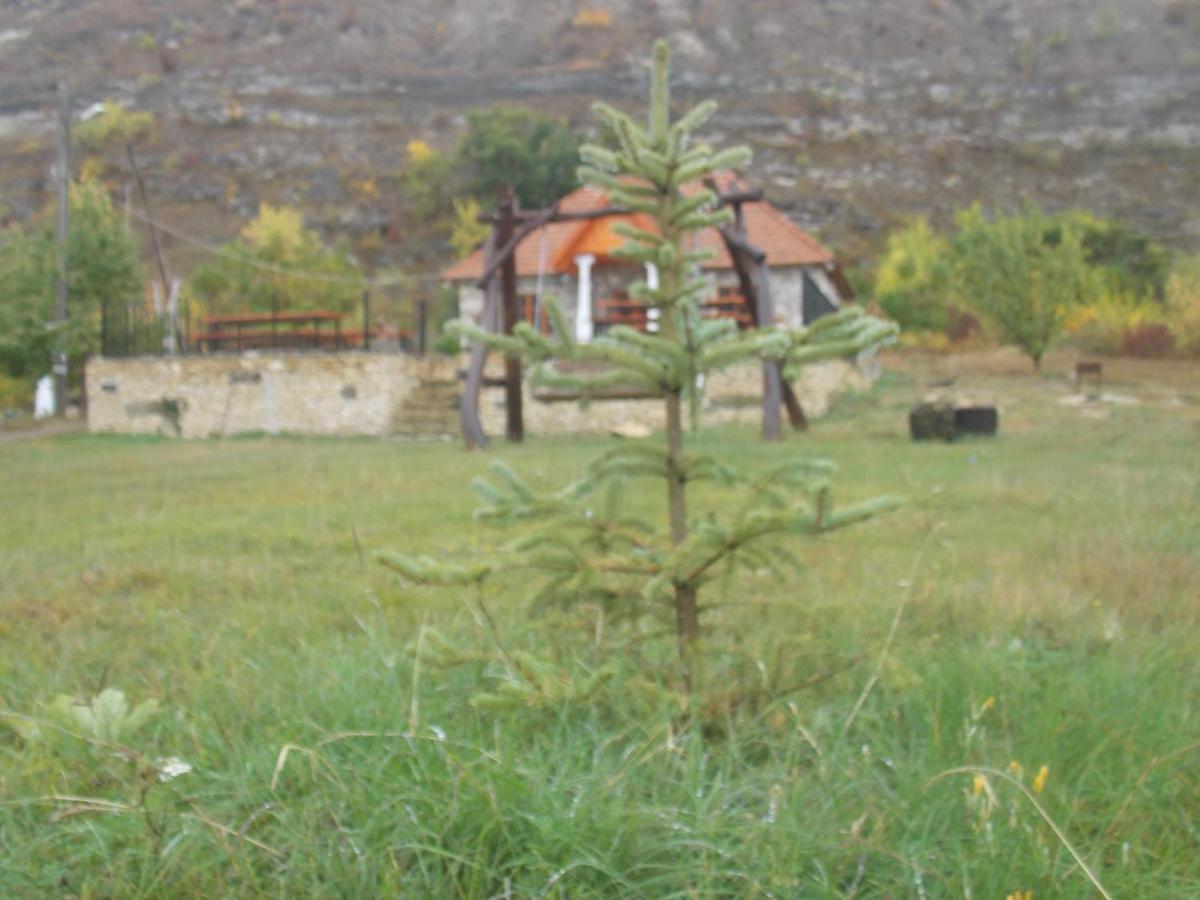 Casa Agricultorului Varzari Butuceny Extérieur photo